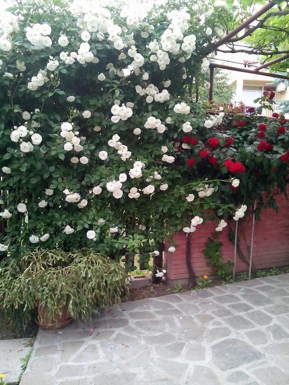 Guest House By The Captain Varna Bagian luar foto