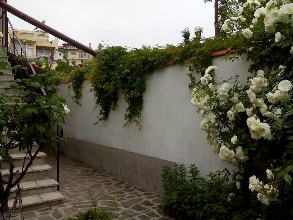 Guest House By The Captain Varna Bagian luar foto