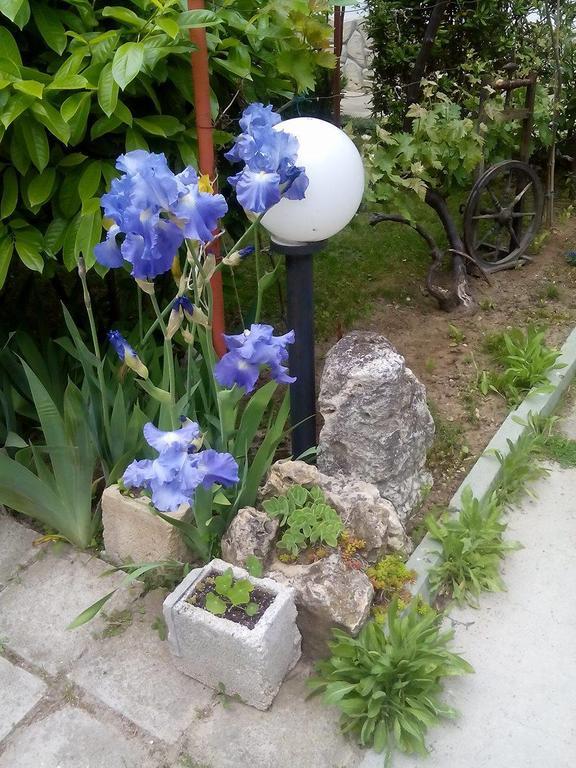Guest House By The Captain Varna Bagian luar foto
